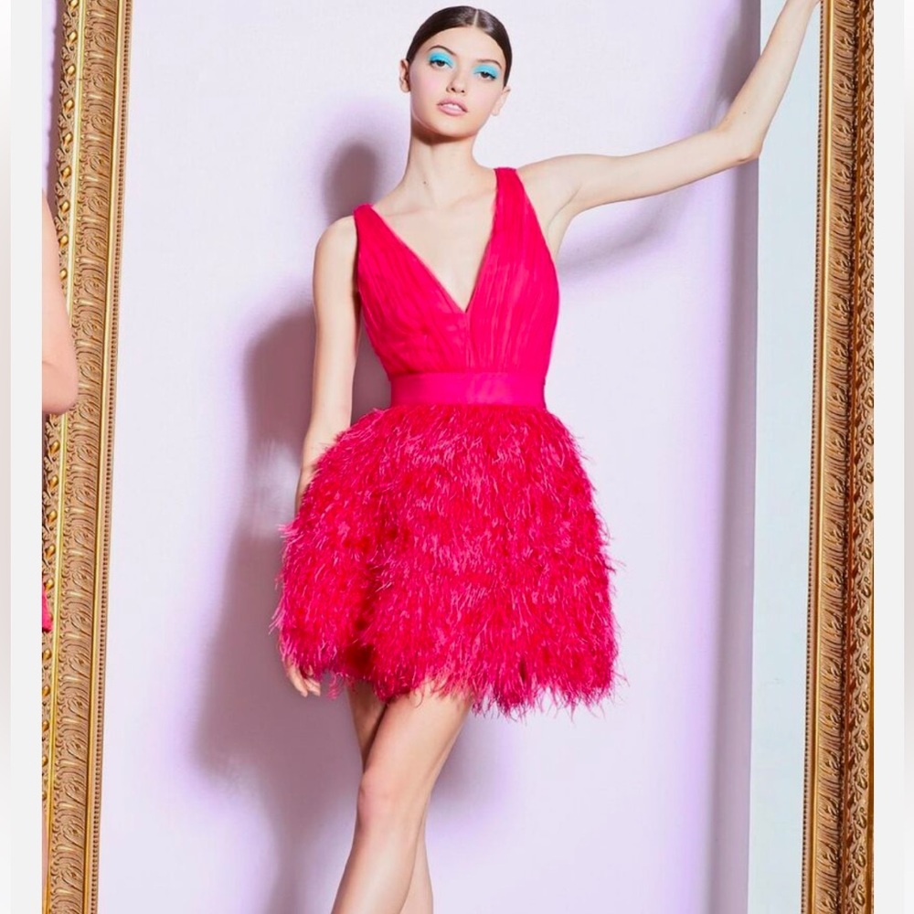Alice and Olivia, Tegan Feather Party dress